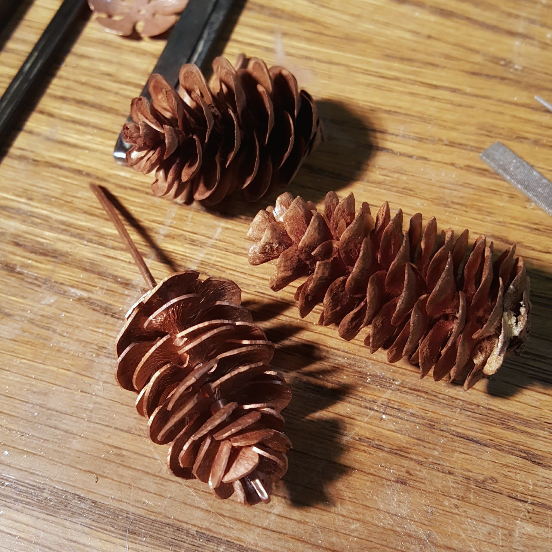 Copper spruce pine cone