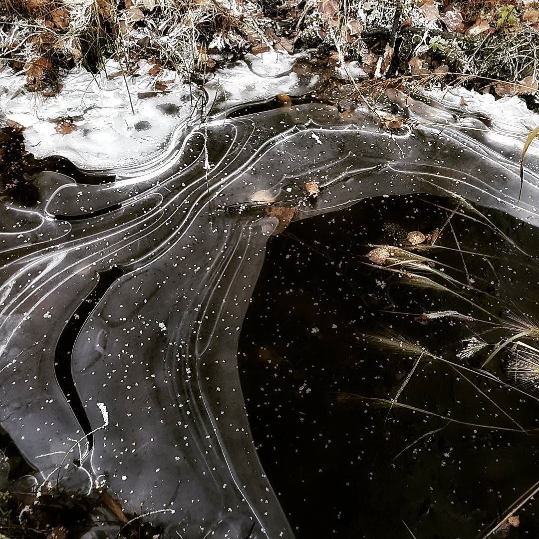 An image of a newly frozen pond